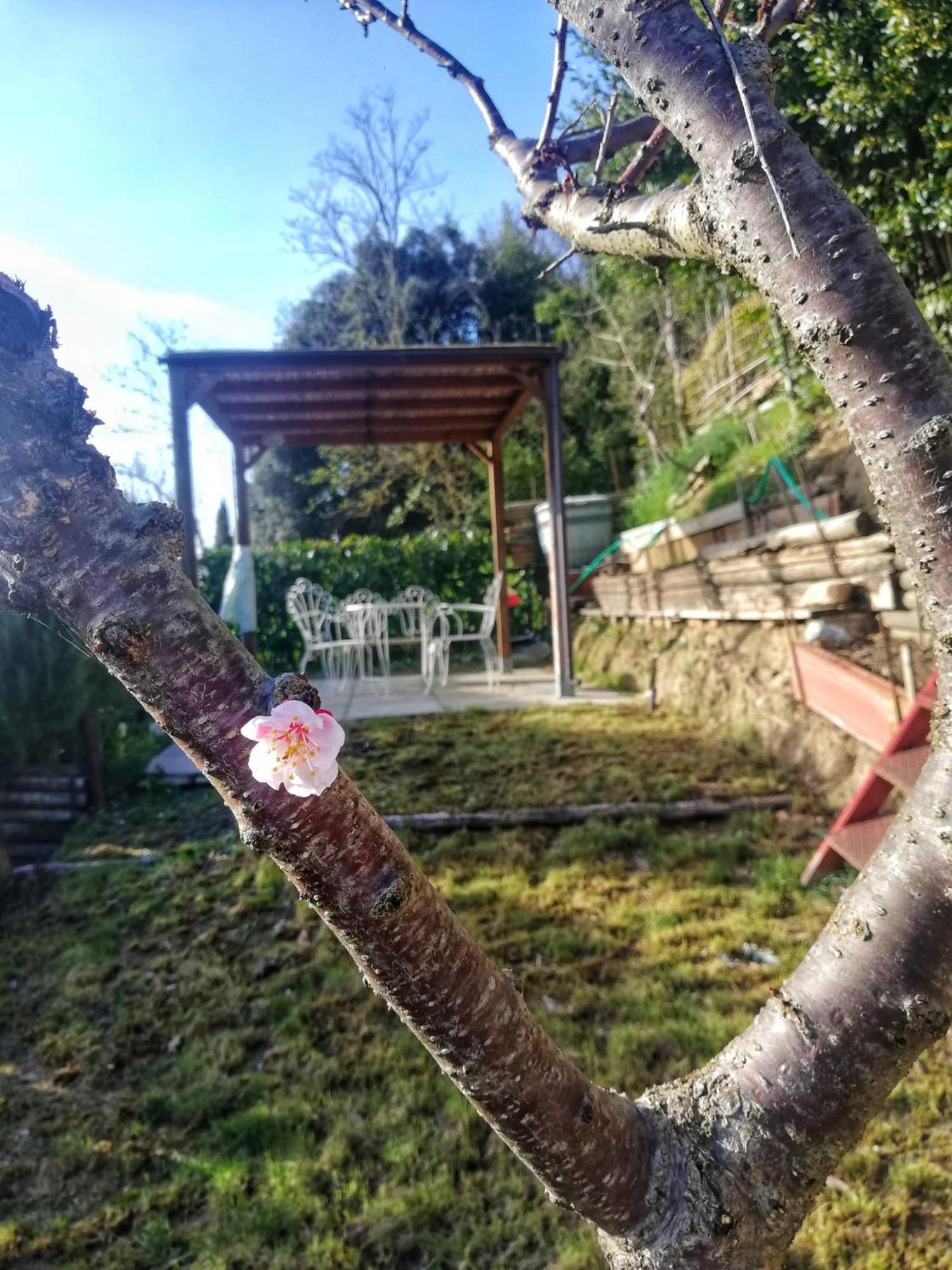Casa Laura Daire San Gimignano Dış mekan fotoğraf